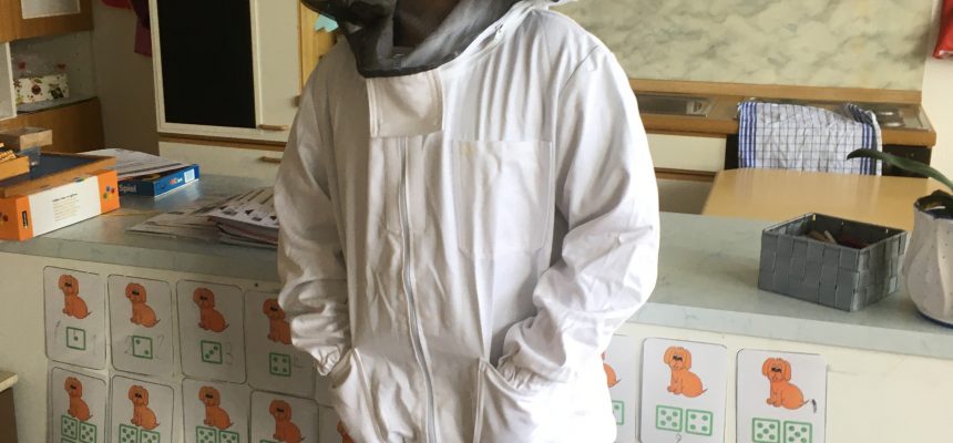 Ein Tag mit den Bienen Ein Tag mit den Bienen