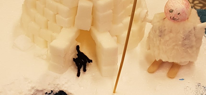 Leben in Eis und Schnee