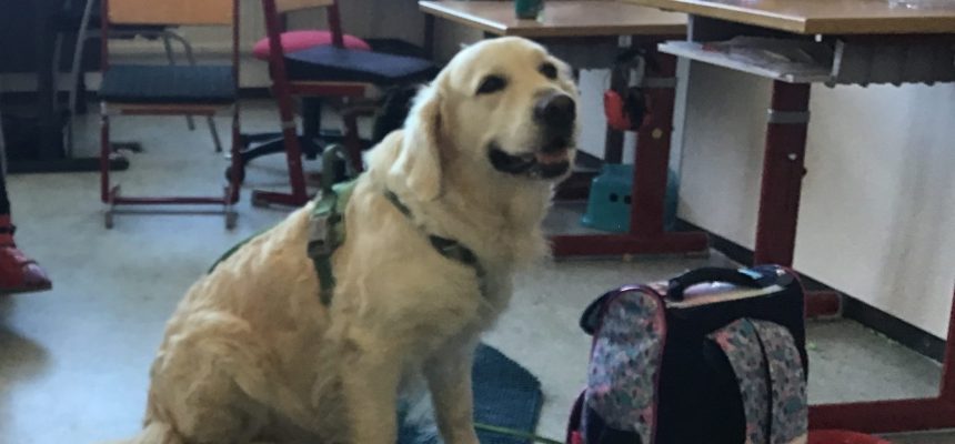 SCHULHUND „FANNY“ SCHULHUND „FANNY“