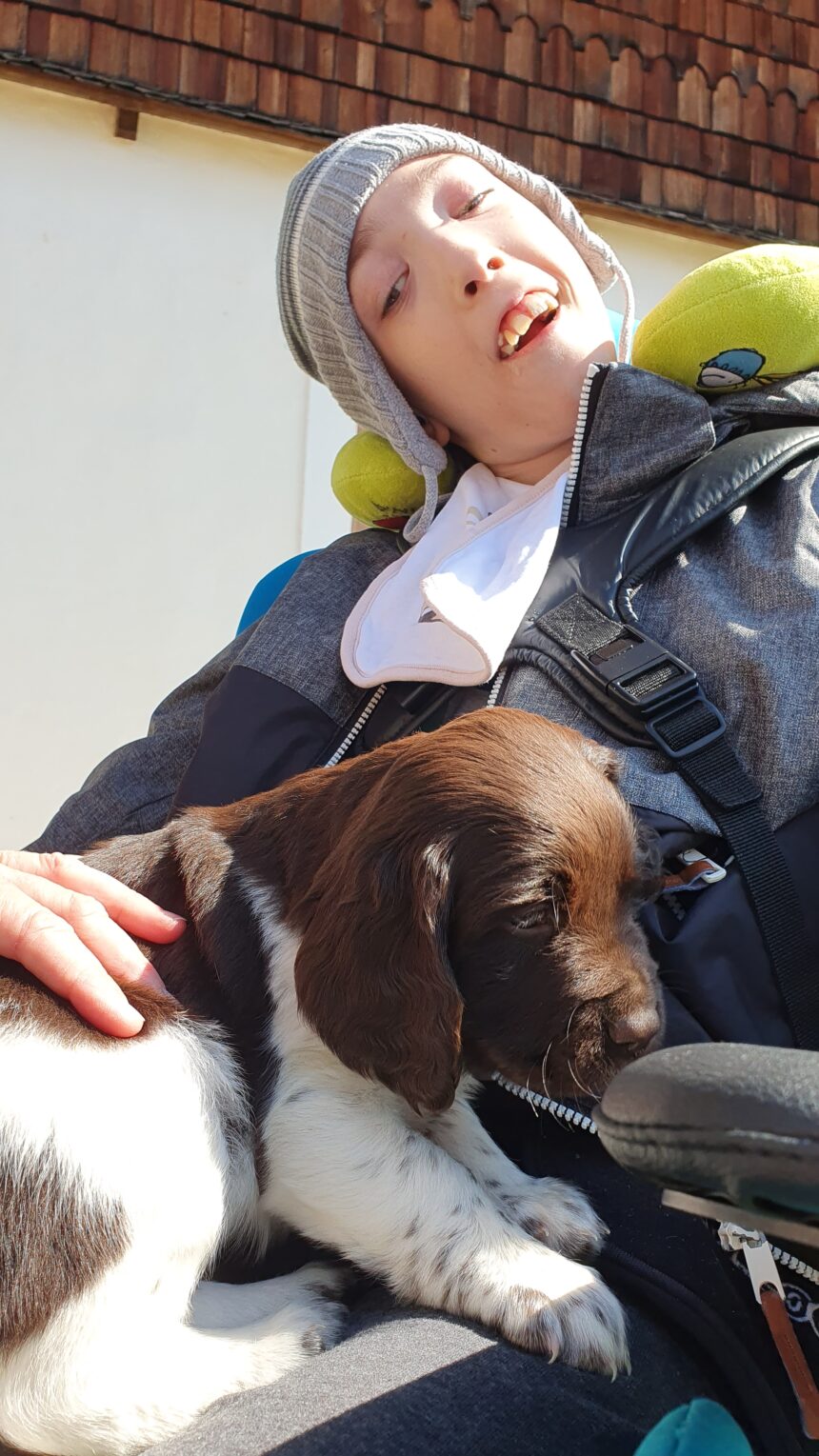 Ausflug zu den Hundebabys