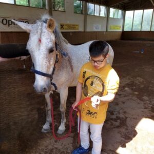 Reiten 5S